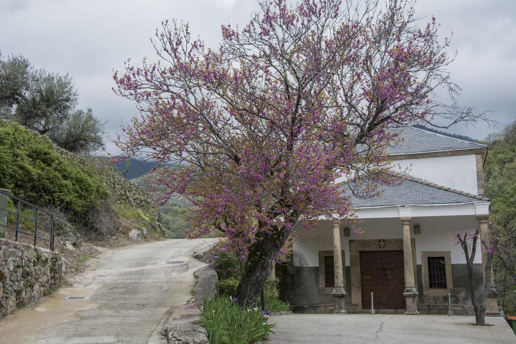 Casa Rural Fuente El Boticario Aldeanueva de la Vera Dış mekan fotoğraf